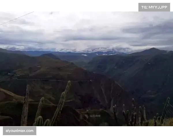 德国厄瓜多尔出线形势分析 战车需警惕南美高空优势反击